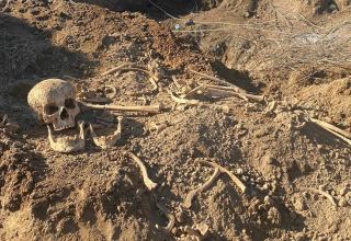 Qobustanda insan skeleti sümükləri aşkarlanıb
