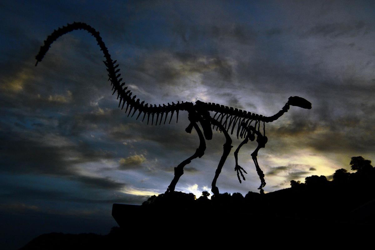 В Бразилии открыли новый вид беззубого динозавра