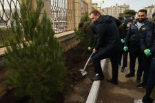 В рамках ЧМ по прыжкам на батуте и тамблингу в Баку прошла акция по посадке деревьев (ФОТО/ВИДЕО)