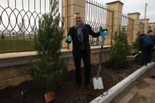 В рамках ЧМ по прыжкам на батуте и тамблингу в Баку прошла акция по посадке деревьев (ФОТО/ВИДЕО)