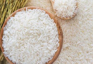 Turkmenistan discloses data on area sown with rice in Danew district