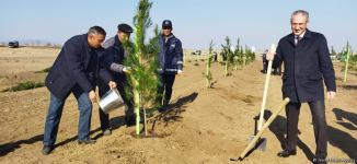 Tree planting held in Azerbaijan’s liberated Aghdam (PHOTO)