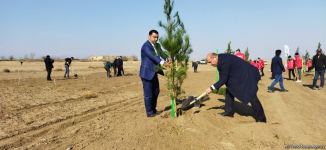 Tree planting held in Azerbaijan’s liberated Aghdam (PHOTO)