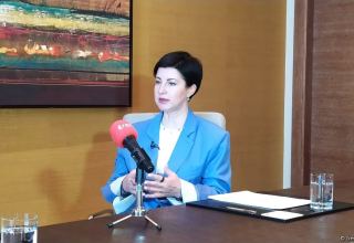 Visa open to cooperation with Azerbaijan in field of digital banks - regional manager (Interview) (VIDEO)