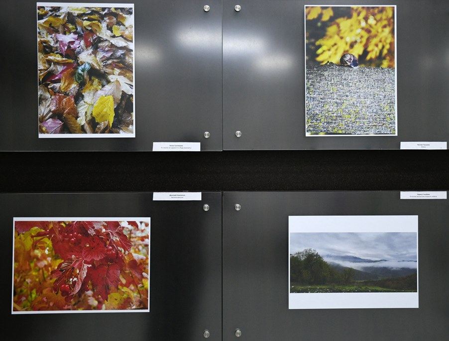 В Баку открылась фотовыставка и прошла церемония награждения конкурса "Золотая осень" (ФОТО)