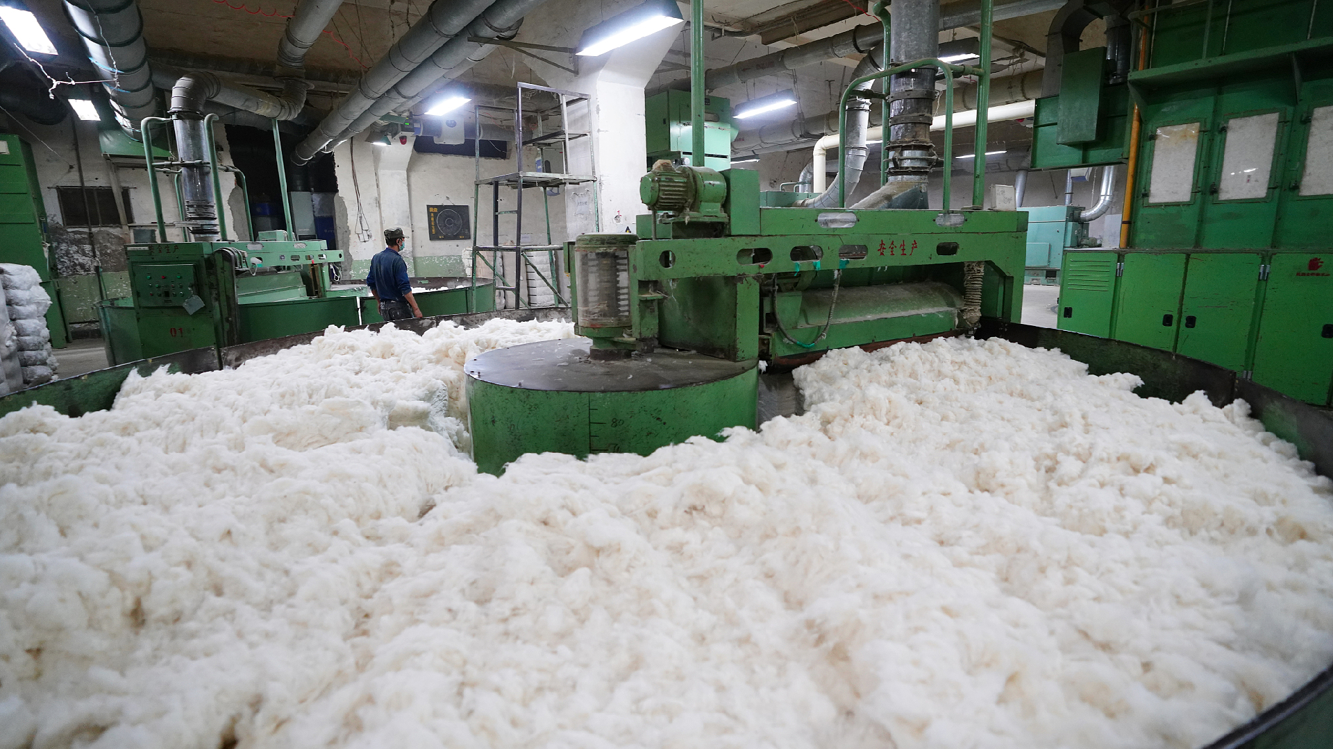 Turkmenistan sees increase in export of cotton to EU