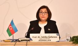 Parliamentary Network of NAM established on initiative of Azerbaijani president (PHOTO) - Gallery Thumbnail