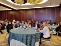 США высоко оценивают работу Азербайджана в сфере борьбы с насилием против женщин – посол (ФОТО)