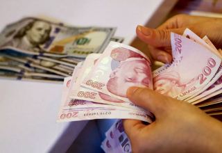 Türkiyədə bir dolların qiyməti 14 lirəni keçdi
