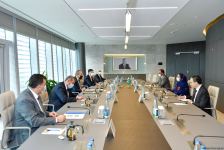 Азербайджан и Пакистан обсудили перспективы развития сотрудничества в сфере промышленности (ФОТО) - Gallery Thumbnail