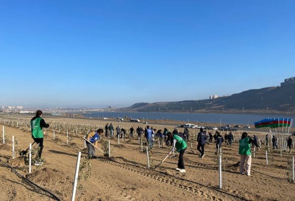 В рамках "Зеленого марафона" в Азербайджане продолжаются акции по посадке деревьев (ФОТО)