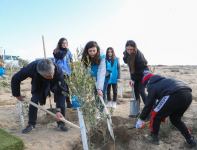 Вице-президент Фонда Гейдара Алиева Лейла Алиева приняла участие в акции по посадке деревьев в рамках "Зеленого марафона" (ФОТО) - Gallery Thumbnail