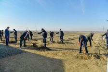 Azerbaijan discloses project cost of agropark in Yevlakh (PHOTO)