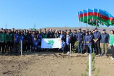 В рамках "Зеленого марафона" в Азербайджане продолжаются акции по посадке деревьев (ФОТО) - Gallery Thumbnail