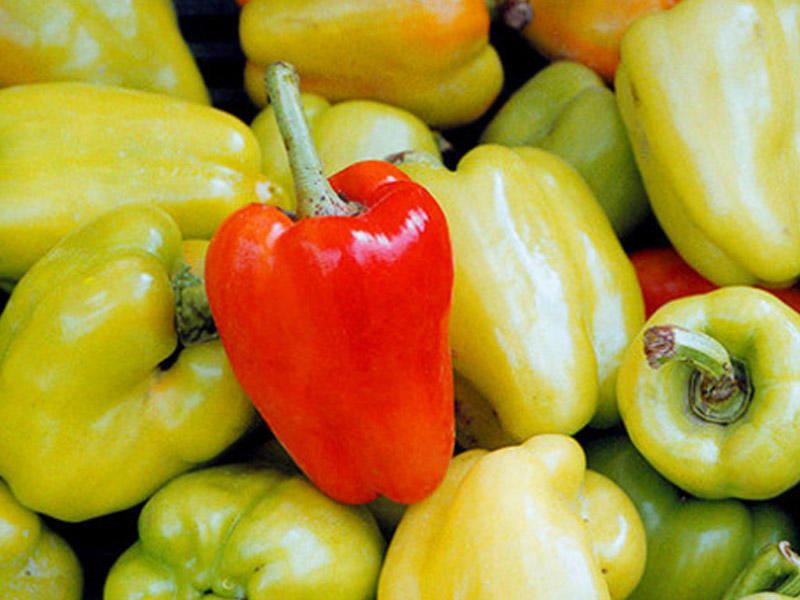 В партии импортированного в Азербайджан перца выявлен патоген овощных культур