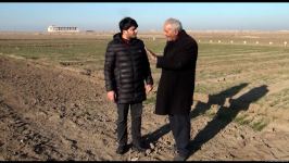 Several wheat varieties sown in Azerbaijan's liberated lands (PHOTO) - Gallery Thumbnail