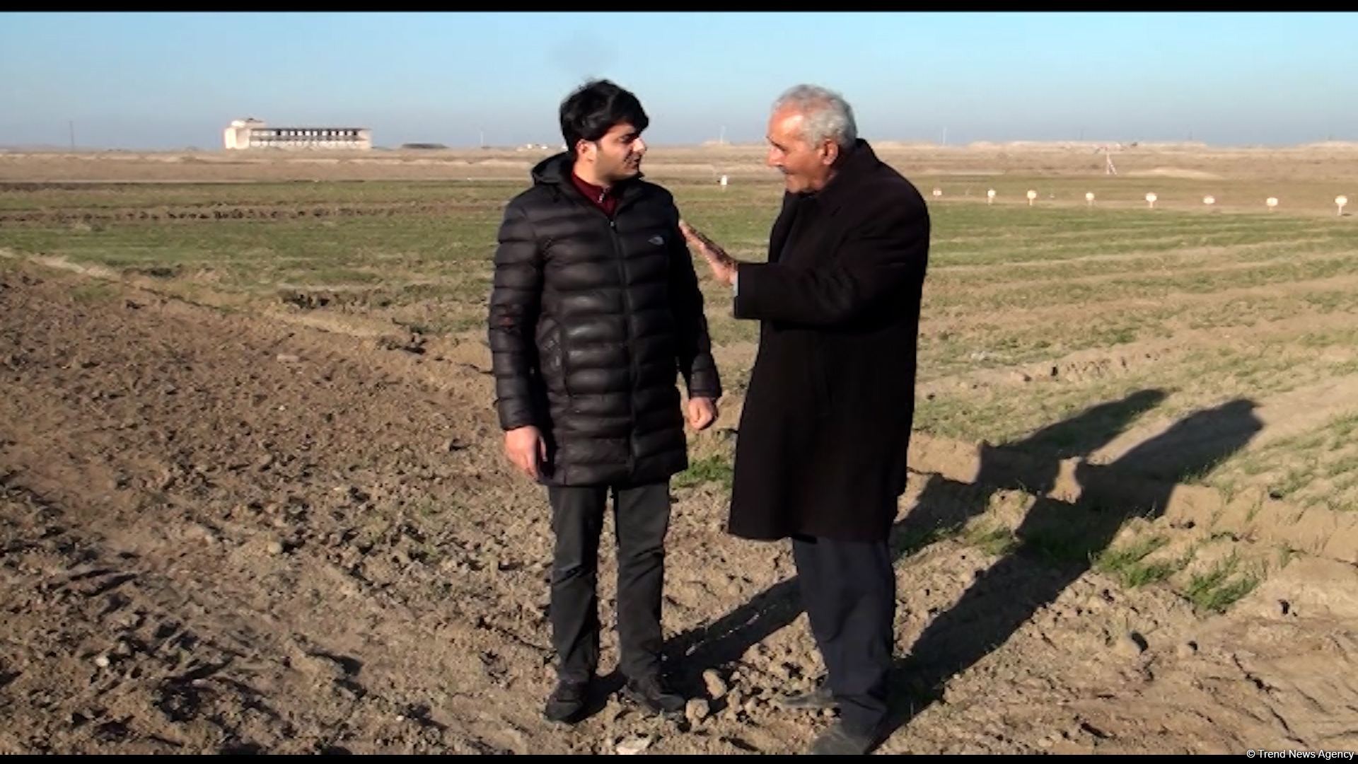 Several wheat varieties sown in Azerbaijan's liberated lands (PHOTO)