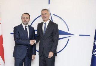Gürcüstanın baş naziri NATO-nun baş katibi ilə görüşəcək