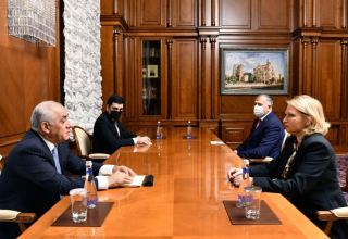 Премьер-министр Али Асадов встретился с министром экономики и устойчивого развития Грузии