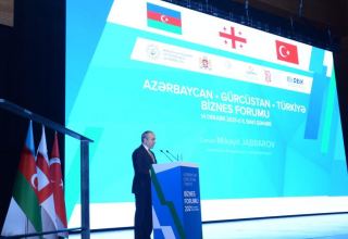 Azerbaijani minister discloses volume of investments in Turkey