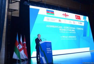 Azerbaijani minister reveals foreign investments received in 11M2021