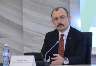 Minister discloses Turkey's trade turnover with Azerbaijan and Georgia (PHOTO)