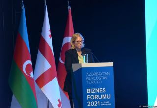 Free trade agreements between Azerbaijan, Georgia, Turkey already creating comfortable conditions for business sector – minister