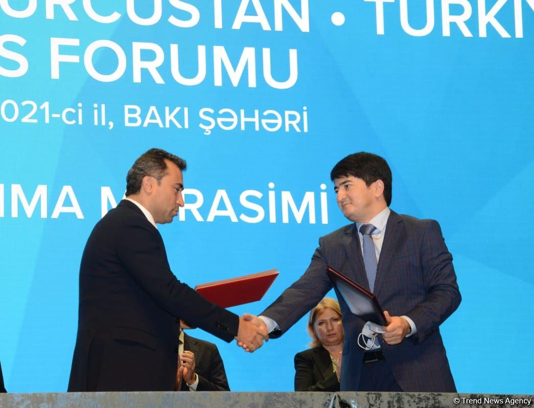 Azərbaycan, Gürcüstan və Türkiyə arasında beş sənəd imzalanıb (FOTO)