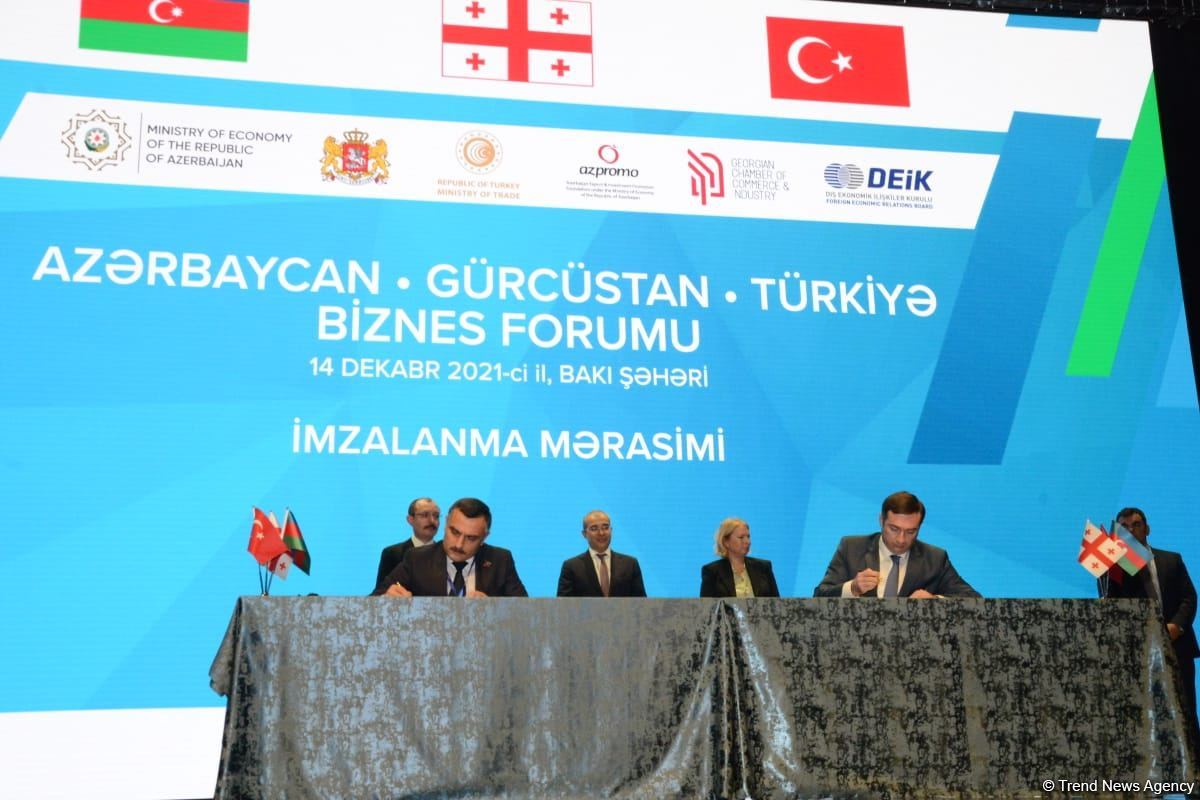 Azərbaycan, Gürcüstan və Türkiyə arasında beş sənəd imzalanıb (FOTO)