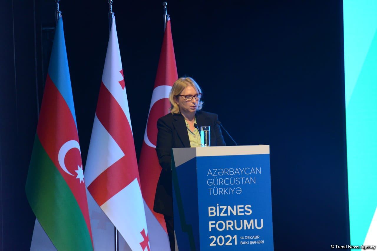 Free trade agreements between Azerbaijan, Georgia, Turkey already creating comfortable conditions for business sector – minister