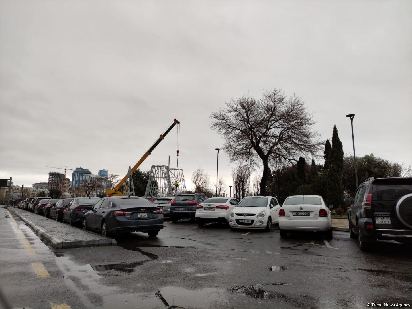 Bakıda Yeni il yolkalarının qurulmasına başlanılıb (FOTO)