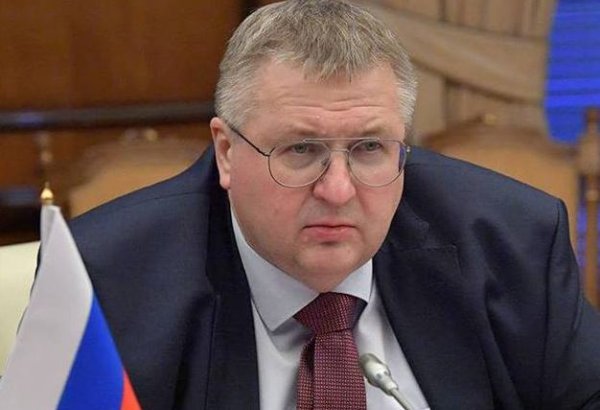 Observer status in EAEU would be beneficial for Azerbaijan – Russian deputy PM