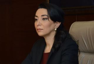 Azerbaijani Ombudsperson issues statement following Armenia's recent armed provocation