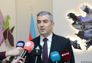 В Азербайджане на сегодня проживают 132 тыс. иностранцев – Госмиграционная служба