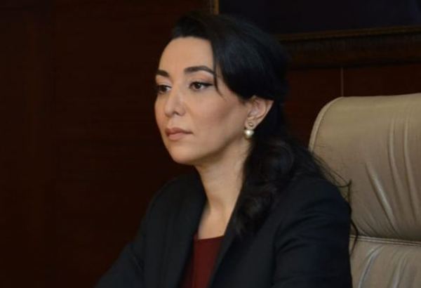 Омбудсмен Азербайджана призвала Францию ​​принять меры в связи с нападением на сотрудников AzTV