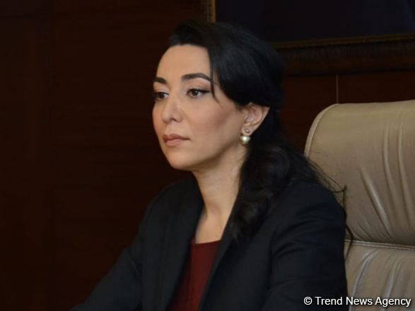 Омбудсмен выступила с заявлением, осуждающим нападение на посольство Азербайджана в Иране