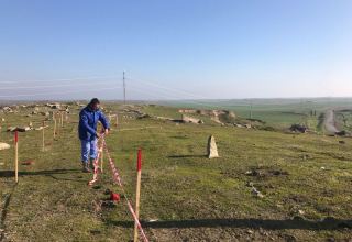 Омбудсмен Азербайджана провела миссию по расследованию фактов на кладбищах освобожденных территорий