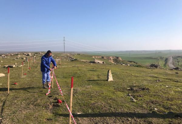 Омбудсмен Азербайджана провела миссию по расследованию фактов на кладбищах освобожденных территорий