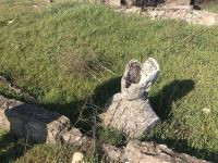 Омбудсмен Азербайджана осуществляет миссию по установлению фактов разрушения кладбищ в Физули (ФОТО)