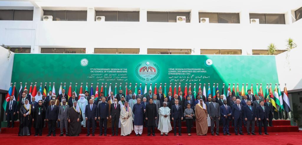 OIC can play leading role in resolving humanitarian situation in Afghanistan - FM