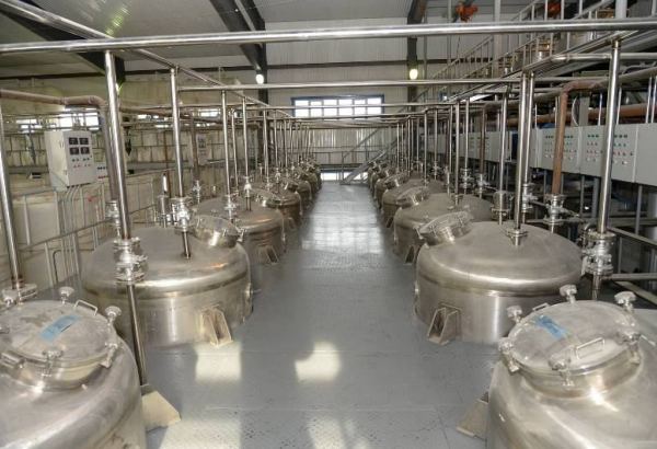 На востоке Туркменистана построят завод по производству глицирризиновой кислоты