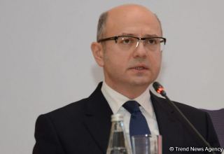 German companies can become important partners of Azerbaijan in field of green energy - minister