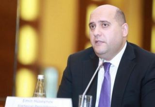 Distribution of liberated lands between two economic regions important – President Ilham Aliyev’s special rep