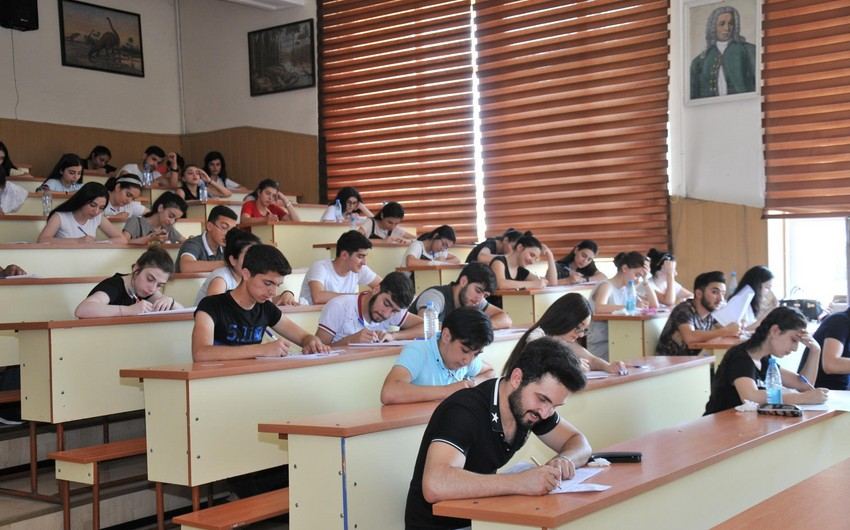 46% студентов в Азербайджане учатся за госсчет - замминистра