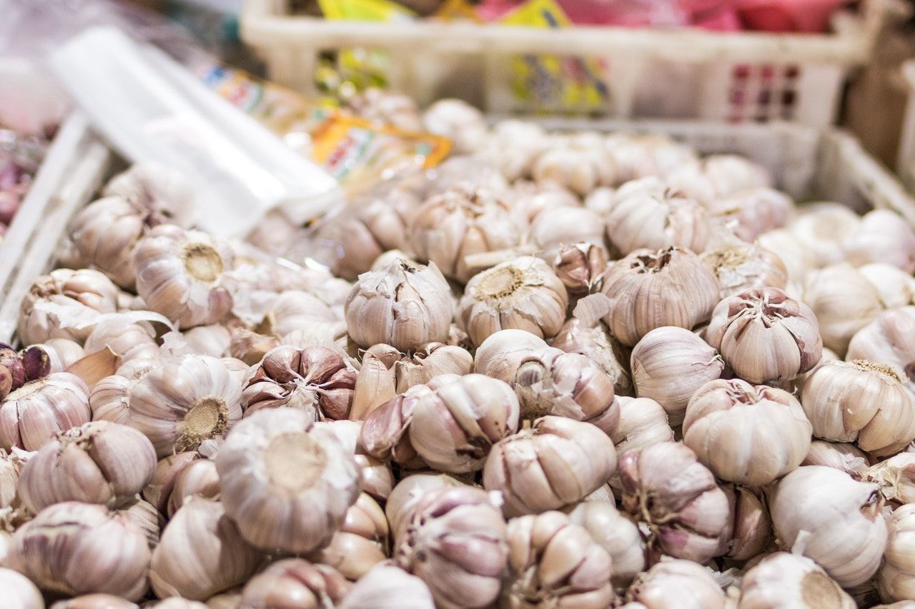 Iranian farmers increase garlic export abroad due to lack of local demand