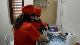 First largest and most modern veterinary clinic in S.Caucasus in Baku already receiving applications - Trend TV (PHOTO/VIDEO)