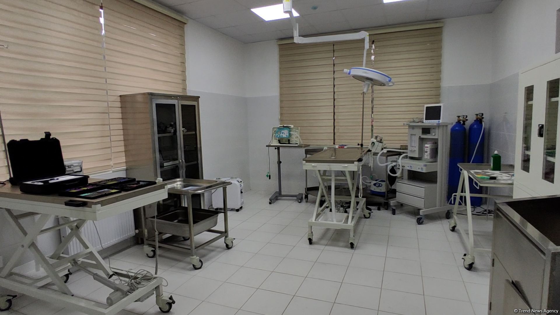 Bakıda açılan Cənubi Qafqazın ilk böyük Baytarlıq Klinikası tam gücü ilə fəaliyyətdədir - Trend TV-nin REPORTAJI (FOTO/VİDEO)