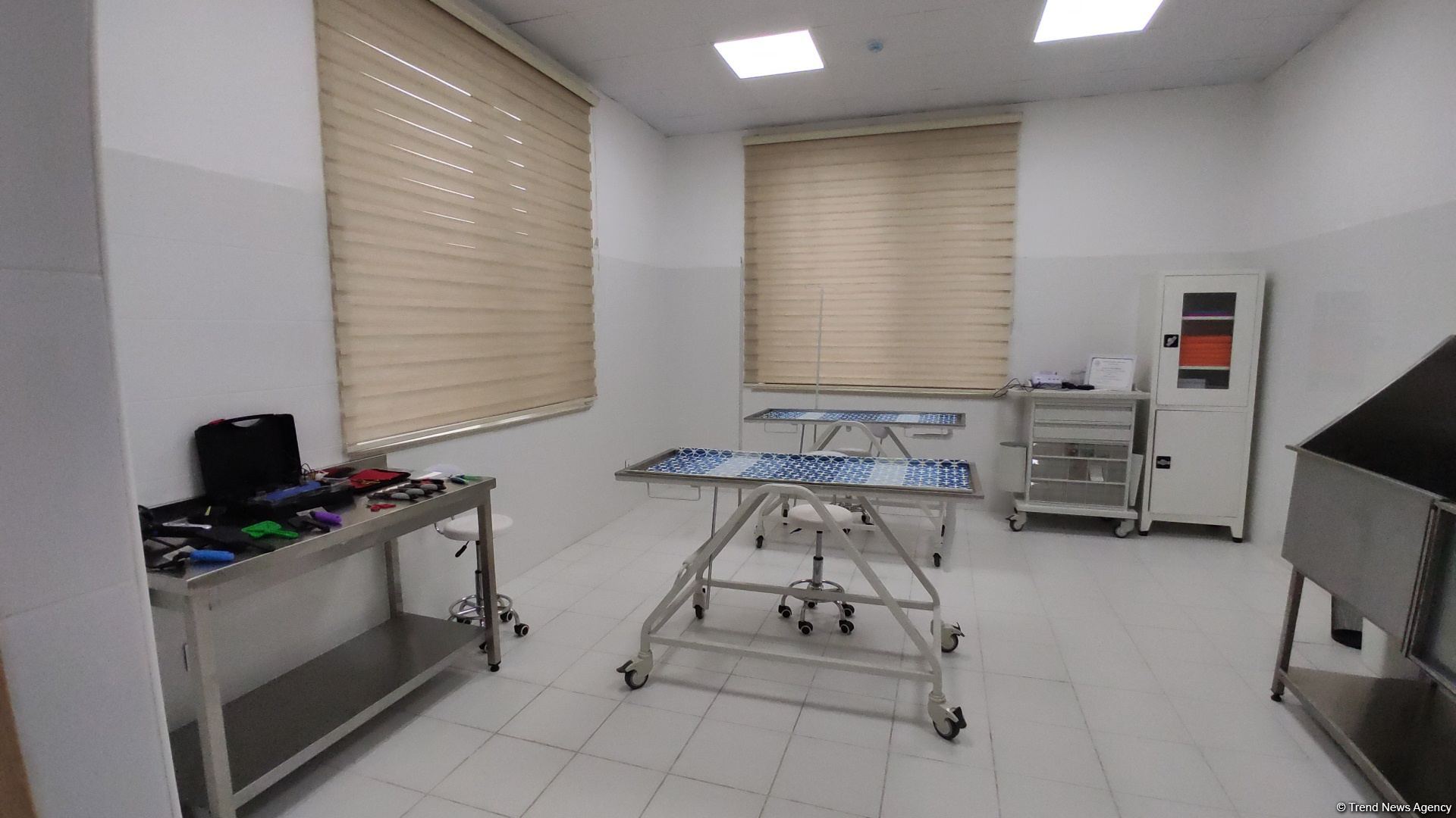 First largest and most modern veterinary clinic in S.Caucasus in Baku already receiving applications - Trend TV (PHOTO/VIDEO)