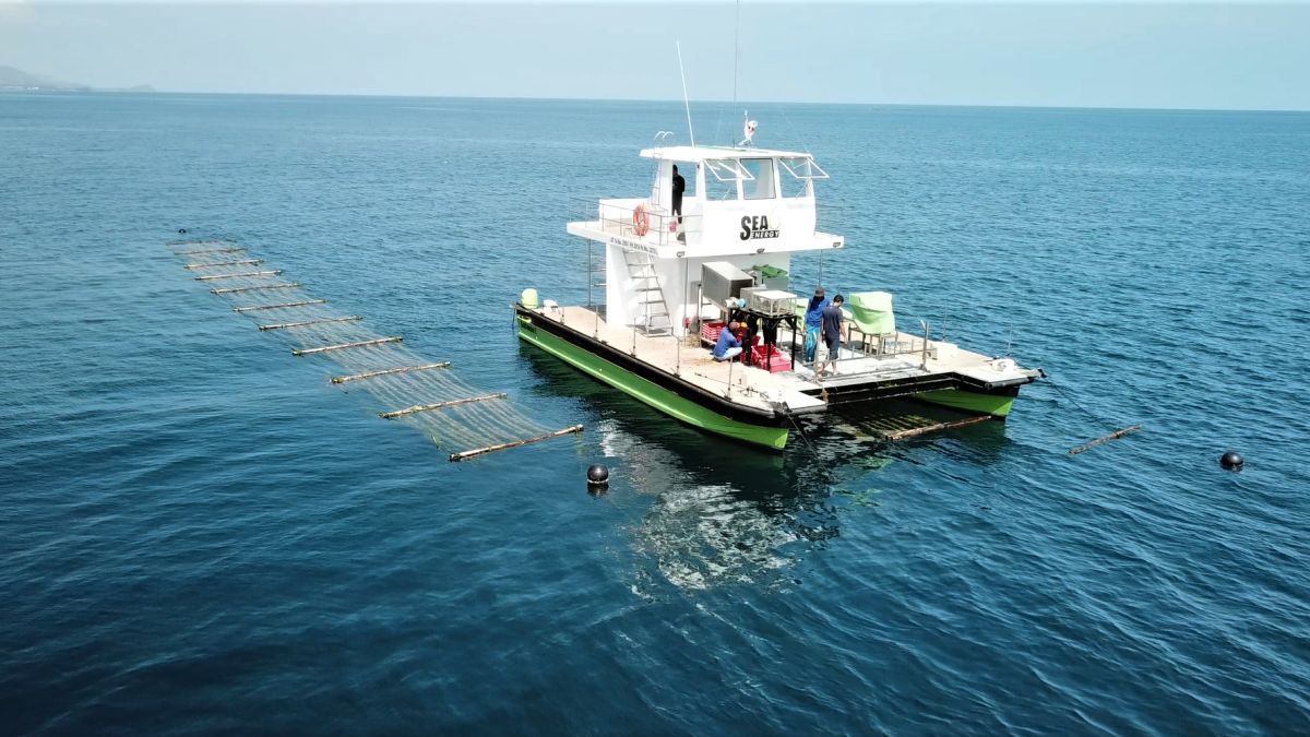 Indian startup could revolutionize ocean farming with its 'sea combine harvester'