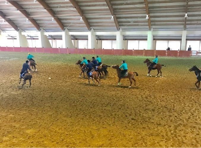 В Азербайджане Центр конного туризма и национальных конных игр передан в подчинение Госпогранслужбы
